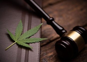 Cannabis Weekly Round-Up: SAFER Banking Act Faces Uncertainty, Curaleaf Announces More Layoffs