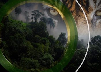 This conservationist lost his eye in a tiger attack — but he’s still fighting to protect the king of the jungle