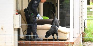 Australian woman charged with murder over suspected death cap mushroom poisonings