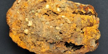 Archaeologists in Germany find centuries-old skeleton with prosthetic hand