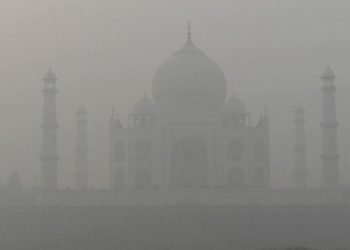 Choking New Delhi smog shutters schools and shrouds Cricket World Cup