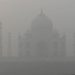 Choking New Delhi smog shutters schools and shrouds Cricket World Cup