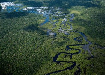 Amazon deforestation falls more than 20% to its lowest levels in 5 years