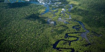 Amazon deforestation falls more than 20% to its lowest levels in 5 years