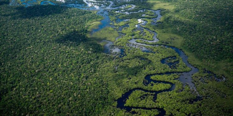 Amazon deforestation falls more than 20% to its lowest levels in 5 years