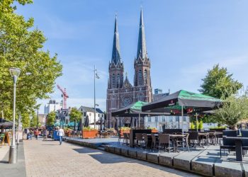 Deadly green mamba snake on the loose in Dutch city