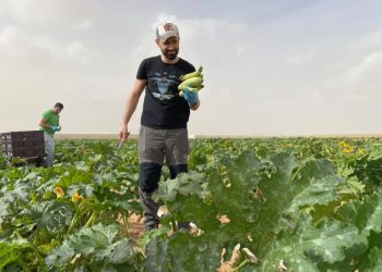 Israel’s farms need foreign labourers. The Hamas attacks triggered an exodus