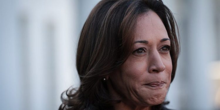 VP Harris says she and Biden ‘obviously have a lot of work to do’ to win re-election in 2024