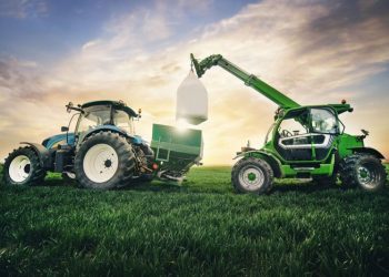 Potash Fertilizers: What’s the Difference Between SOP and MOP? (Updated 2023)