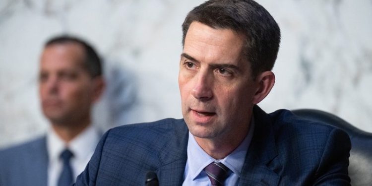 Sen. Cotton: ‘Massive retaliation’ against Iran needed to end attacks on US assets