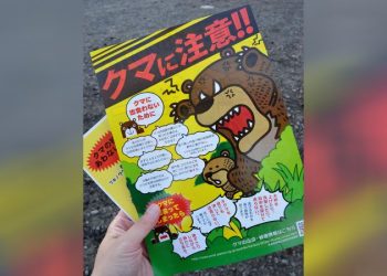 Bear attacks in Japan are at a record high. Climate change and an aging population are making the problem worse