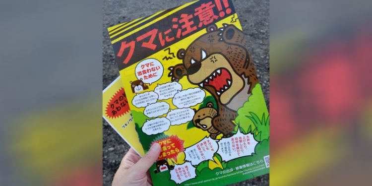 Bear attacks in Japan are at a record high. Climate change and an aging population are making the problem worse