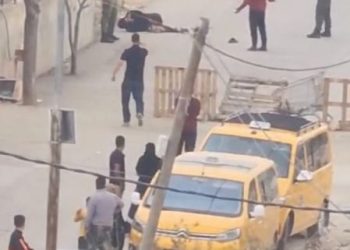 Video shows man in military fatigues shooting mentally disabled Palestinian in West Bank