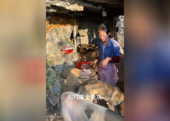 The 21-year-old ‘retiree’ who left China’s rat race for life in the rural mountains