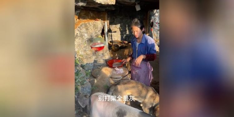 The 21-year-old ‘retiree’ who left China’s rat race for life in the rural mountains