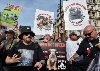 England and Wales ban on XL Bully dog breed to take effect Sunday