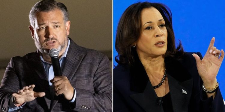 Sen Ted Cruz calls out VP Kamala Harris for Palestinian sympathy push: ‘Undermining Israel’