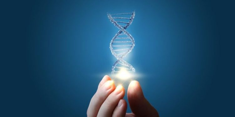 Top 5 NASDAQ Genetics Stocks of 2023
