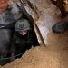 Israel constructs large pumps to flood Hamas terror tunnels with seawater: Wall Street Journal