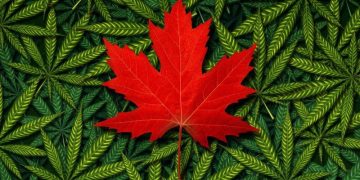 Cannabis Stocks: 10 Biggest Companies