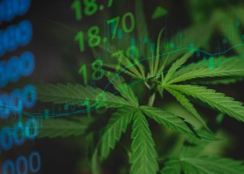 Cannabis Market 2023 Year-End Review