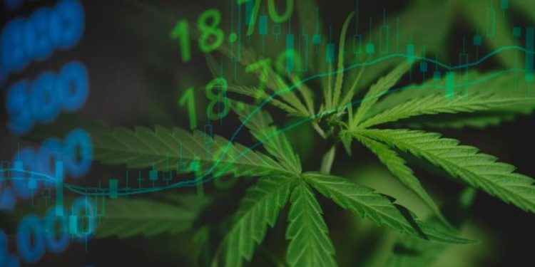 Cannabis Market 2023 Year-End Review
