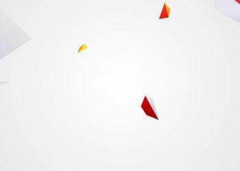 This program is putting young Black South Africans at the heart of wildlife photography and conservation