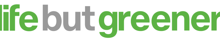 5 easy ways to live greener in 2024