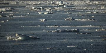 Norway parliament approves highly controversial deep sea mining