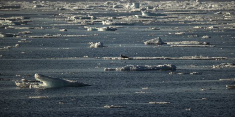 Norway parliament approves highly controversial deep sea mining