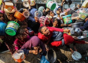 How much aid Gaza needs to survive: A visual guide