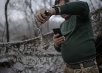 Rats and mice swarm trenches in Ukraine in grisly echo of World War I