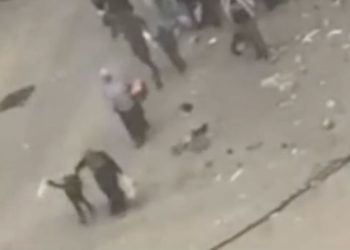 She was fleeing with her grandson, who was holding a white flag. Then she was shot