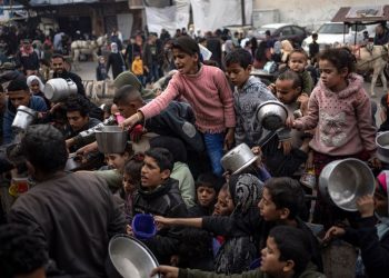 ‘We are dying slowly:’ Palestinians are eating grass and drinking polluted water as famine looms across Gaza