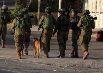 Israeli forces reveal footage of K9 unit clearing houses in Gaza, uncovering Hamas weapons