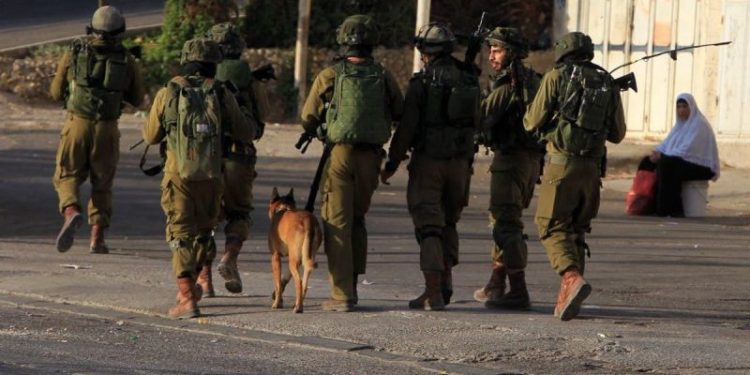 Israeli forces reveal footage of K9 unit clearing houses in Gaza, uncovering Hamas weapons