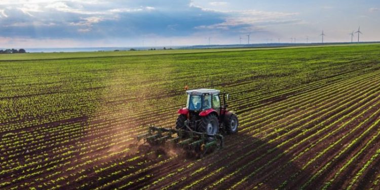 5 Top Weekly TSXV Stocks: Arianne Phosphate Grows with Nearly 80 Percent Gain