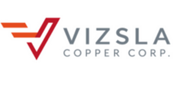 Vizsla Copper