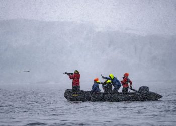 ‘Save the Whales’ was a shining success. Now can humpbacks save us from ourselves?