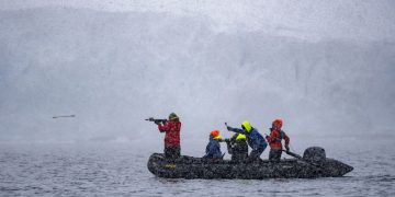 ‘Save the Whales’ was a shining success. Now can humpbacks save us from ourselves?