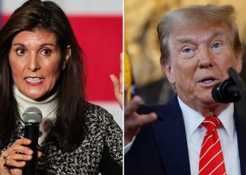 Haley mocks Trump in effort to entice debate with former president ahead of SC primary: ‘Can’t hide’