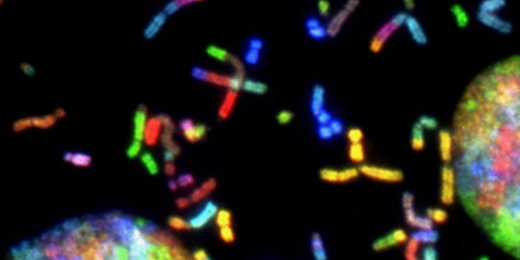 How Will the Inflation Reduction Act Impact the Biotech Industry?