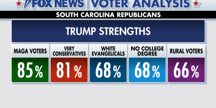 Fox News Voter Analysis: Trump Bests Haley in Her Home State