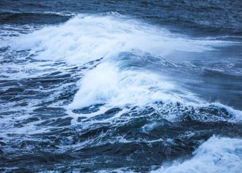 Critical Atlantic Ocean current system is showing early signs of collapse, prompting warning from scientists