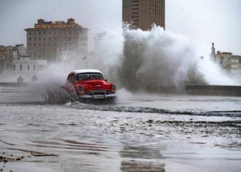 Huge waves and high winds hurl jellyfish and seaweed into the streets of Havana