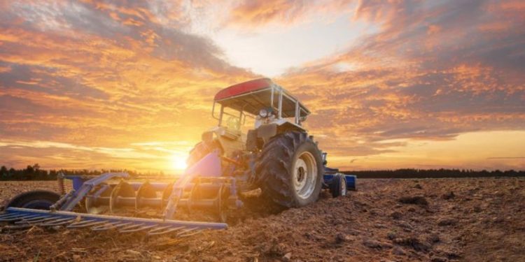 Agriculture Market Forecast: Top Trends That Will Affect Potash and Phosphate in 2024