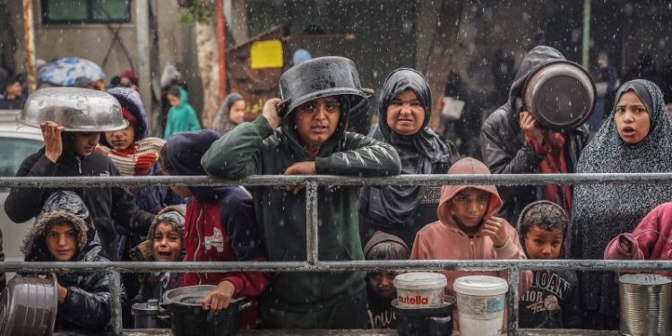 More than 800 Western officials sign scathing criticism of Gaza policy