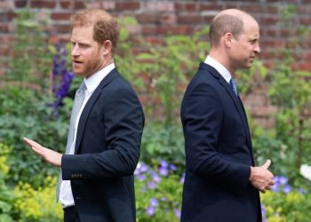 Prince William praises Diana at London event