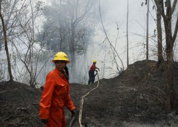 Venezuela battles record wildfires worsened by Amazon drought