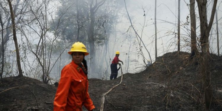 Venezuela battles record wildfires worsened by Amazon drought